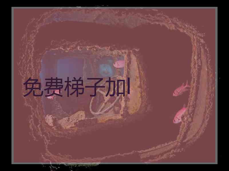 免费梯子加l