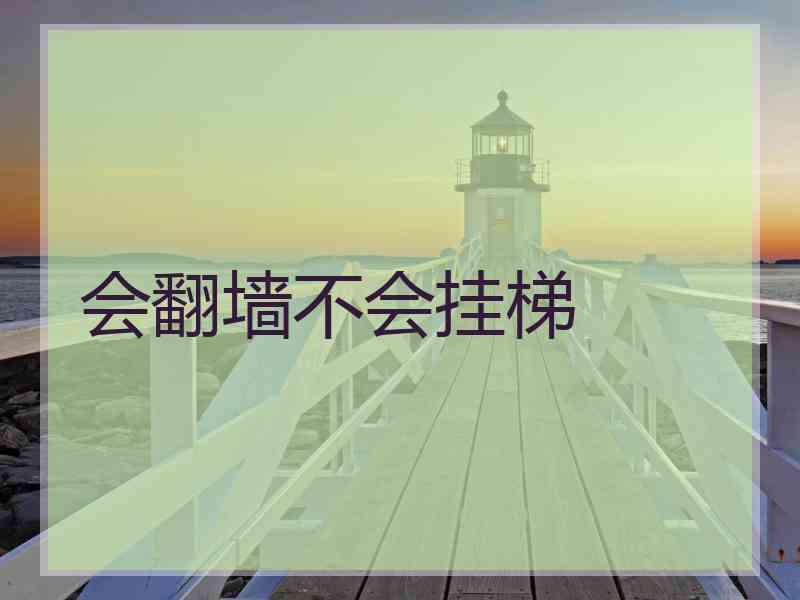 会翻墙不会挂梯