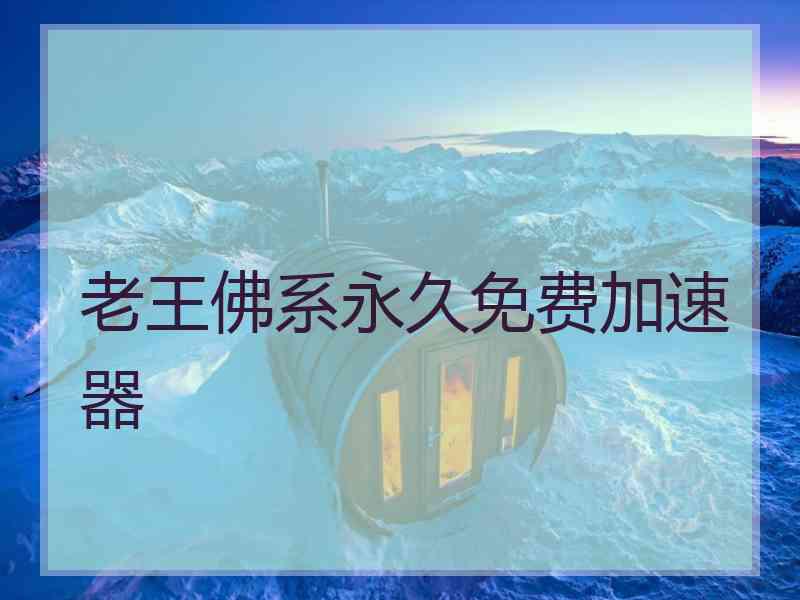 老王佛系永久免费加速器