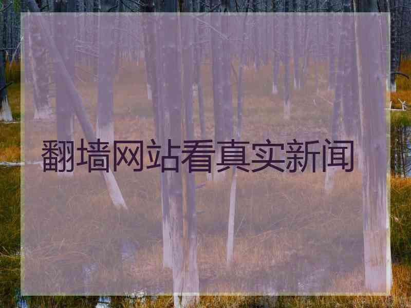 翻墙网站看真实新闻