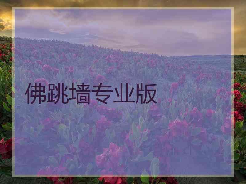 佛跳墙专业版