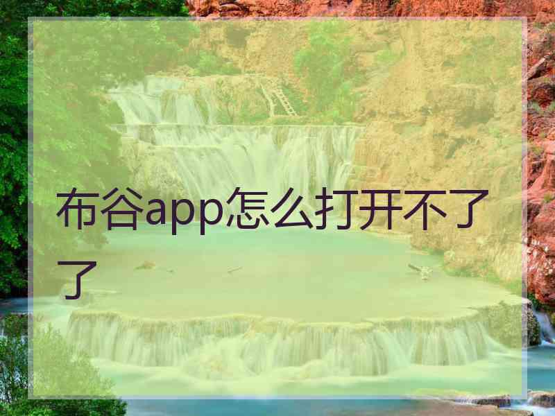 布谷app怎么打开不了了