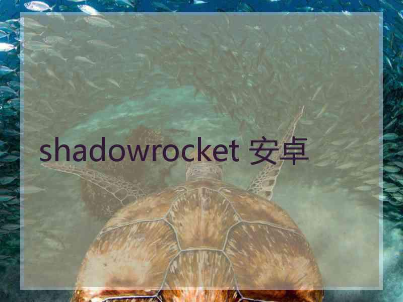 shadowrocket 安卓