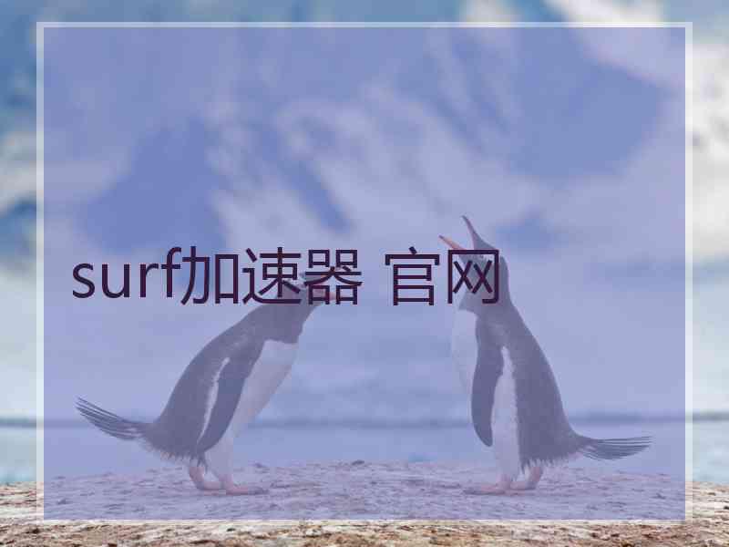 surf加速器 官网