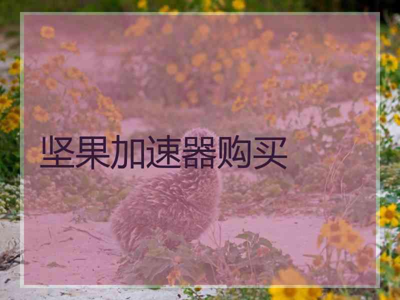 坚果加速器购买