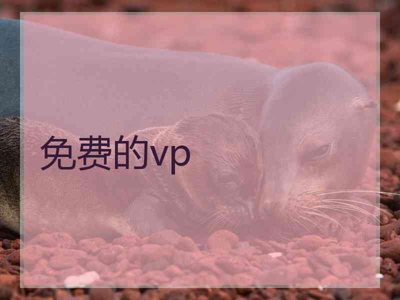 免费的vp