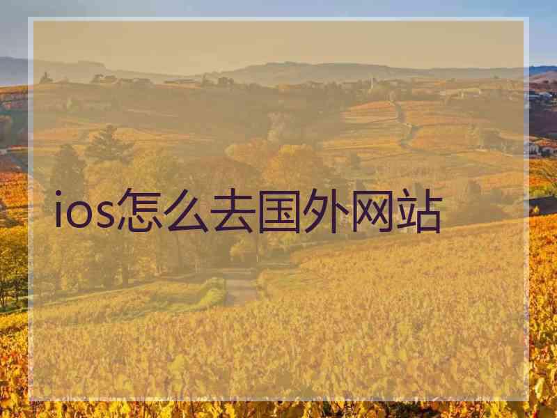 ios怎么去国外网站