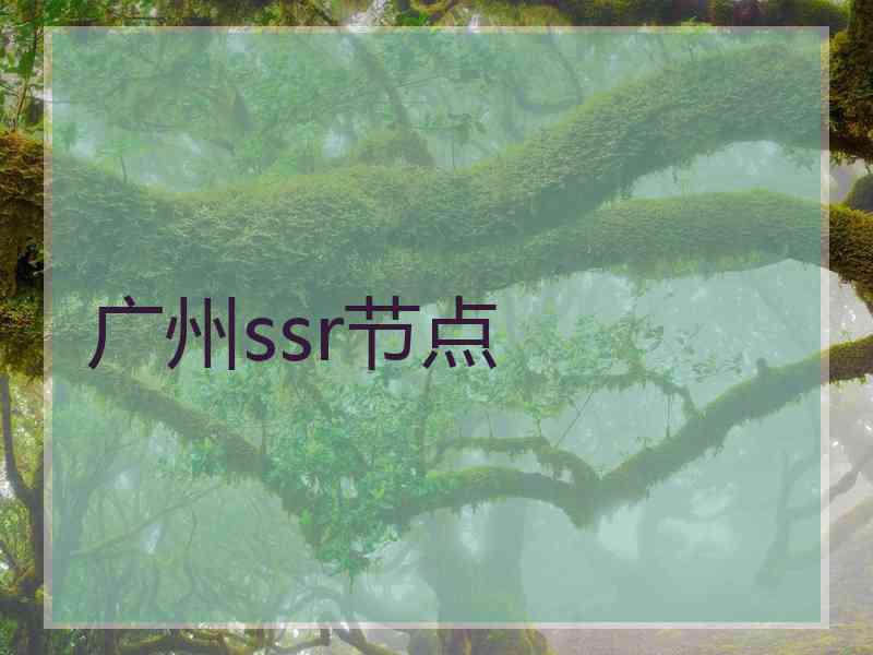 广州ssr节点