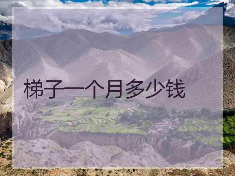 梯子一个月多少钱