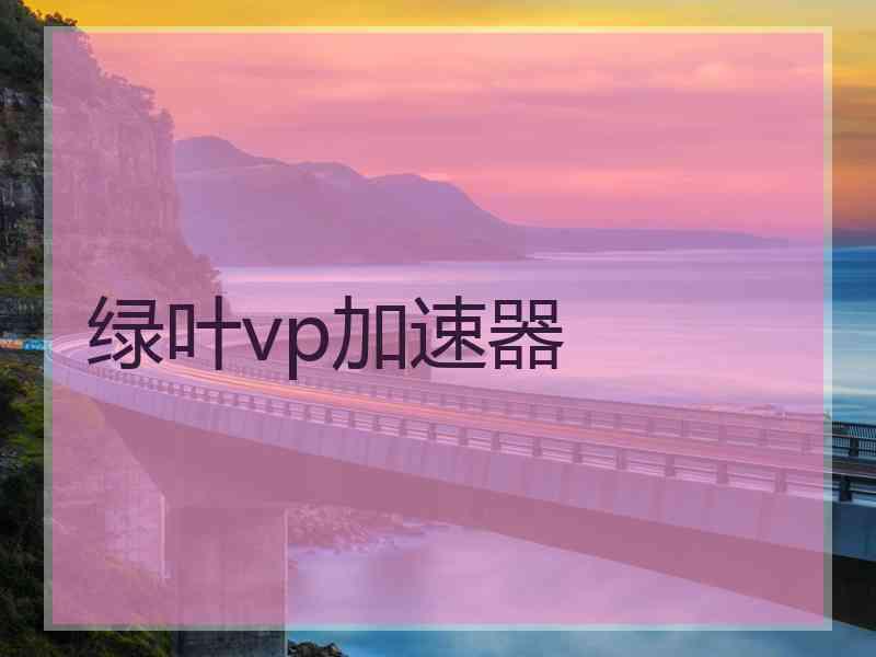 绿叶vp加速器