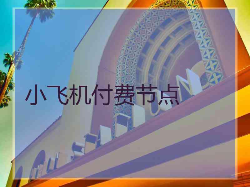 小飞机付费节点