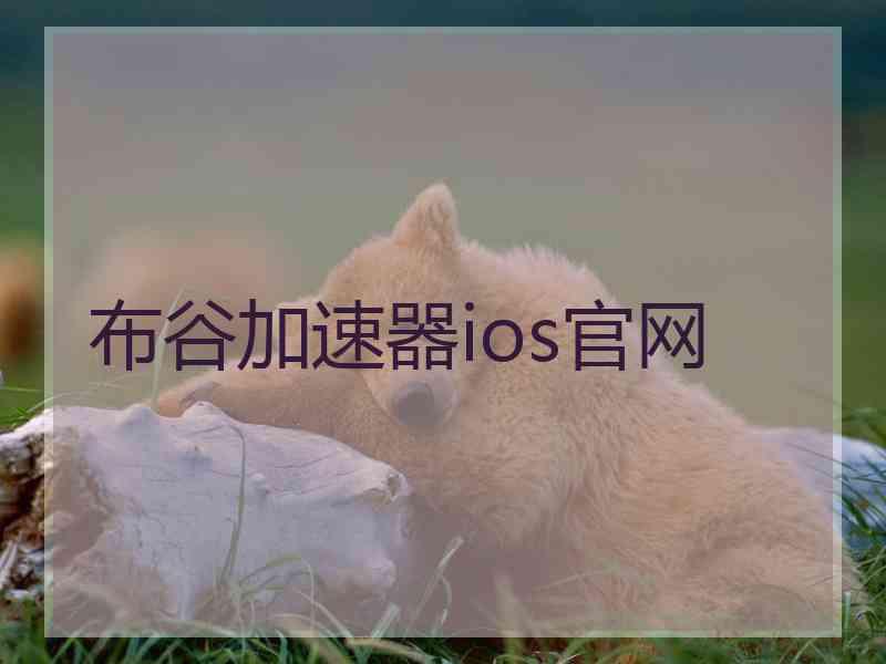 布谷加速器ios官网