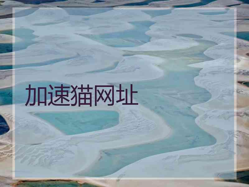 加速猫网址