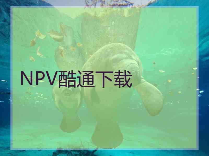 NPV酷通下载
