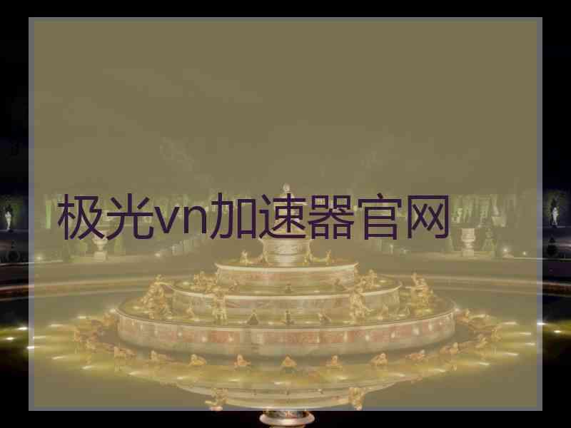 极光vn加速器官网