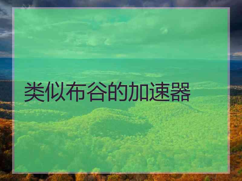 类似布谷的加速器