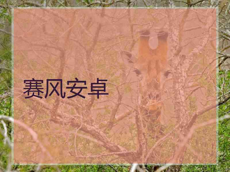 赛风安卓