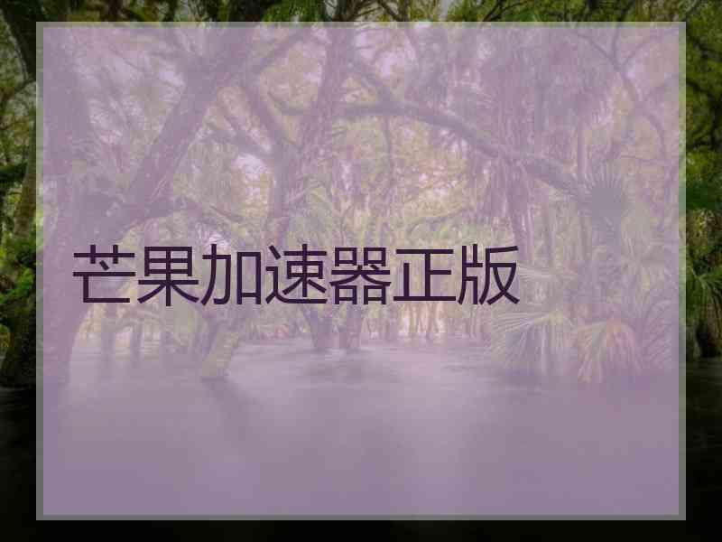 芒果加速器正版