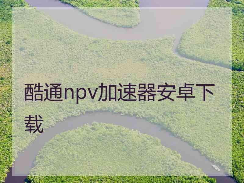酷通npv加速器安卓下载