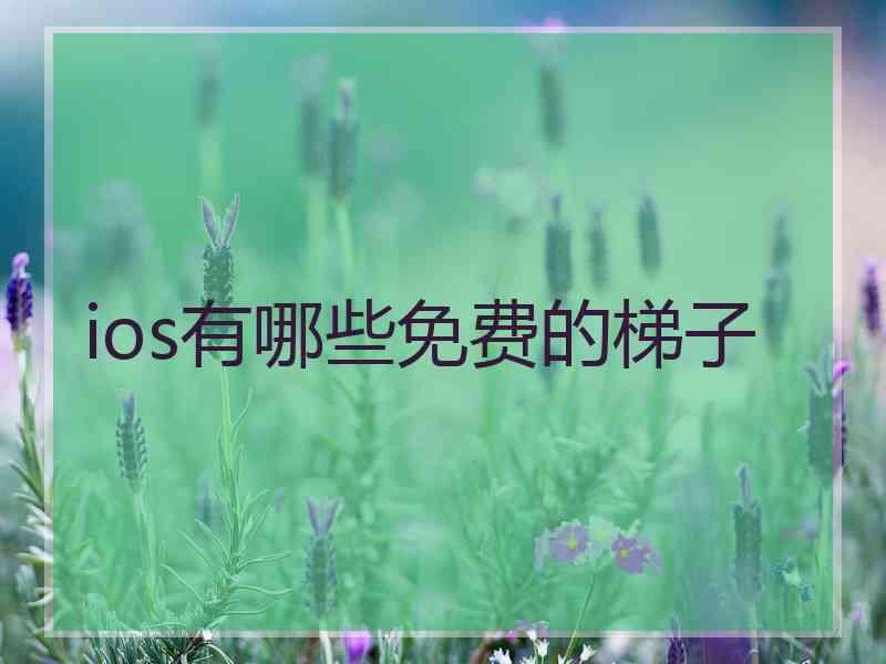 ios有哪些免费的梯子