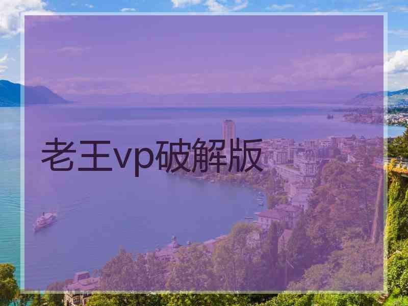 老王vp破解版