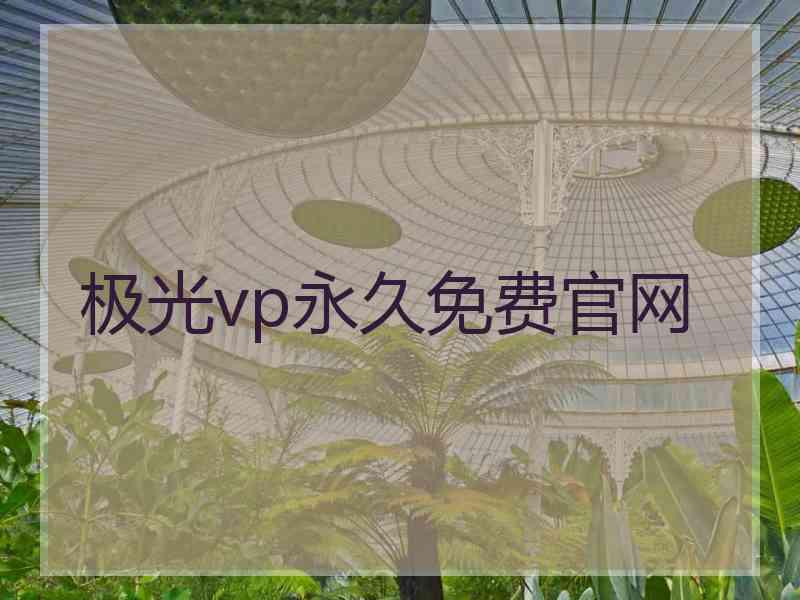 极光vp永久免费官网