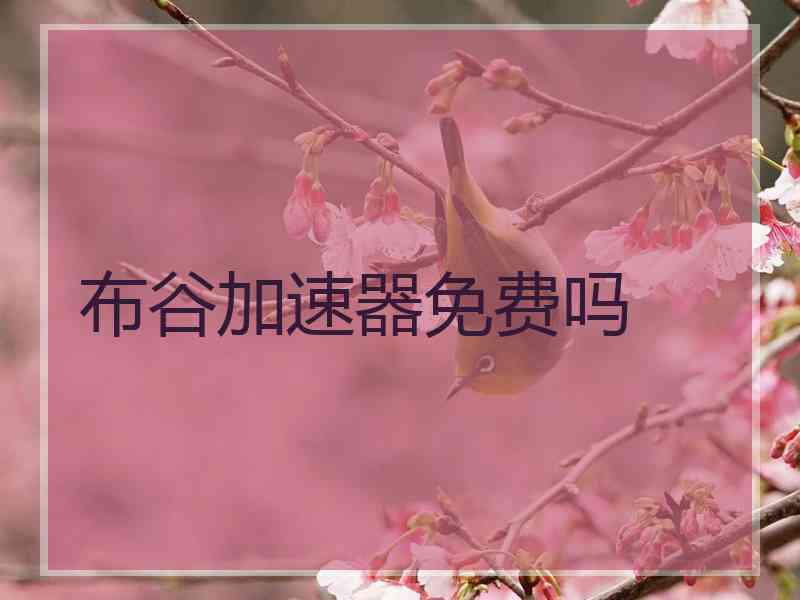 布谷加速器免费吗