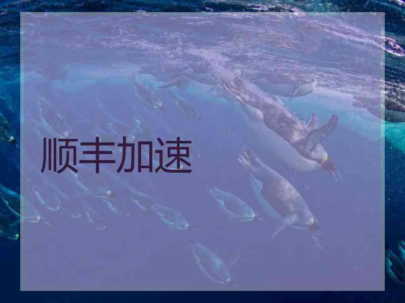 顺丰加速