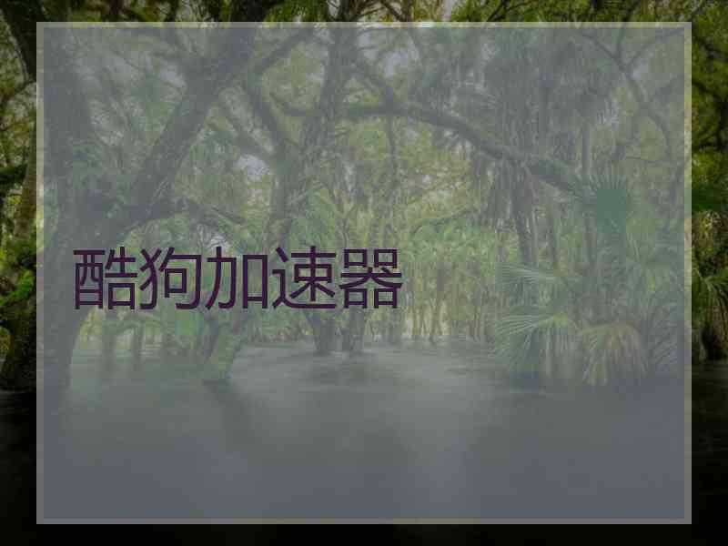 酷狗加速器