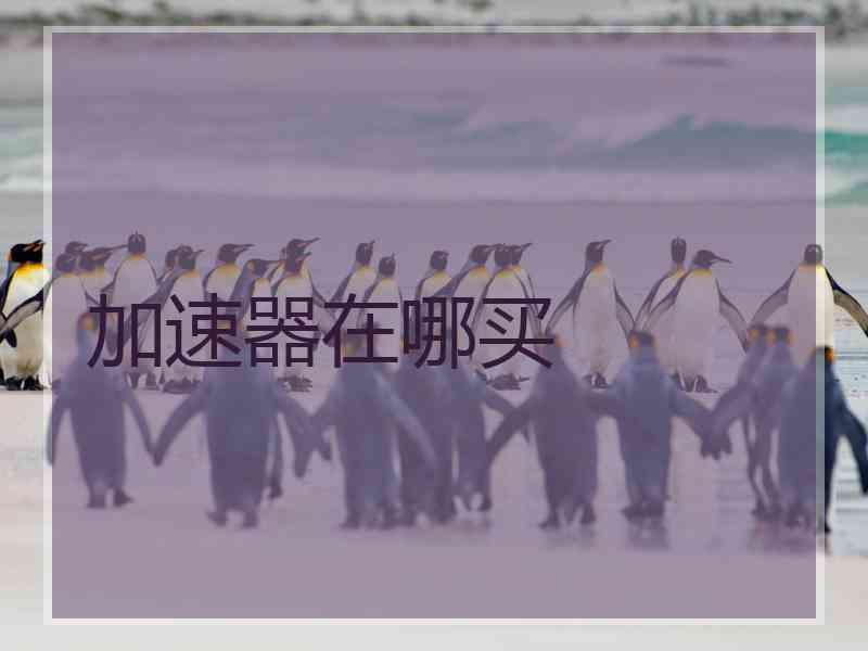 加速器在哪买