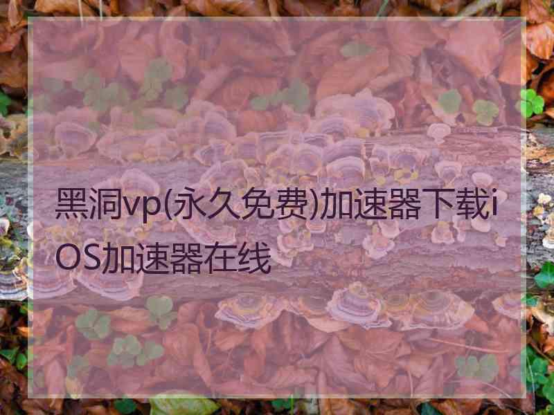 黑洞vp(永久免费)加速器下载iOS加速器在线