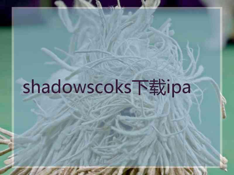 shadowscoks下载ipa