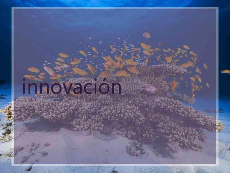 innovación