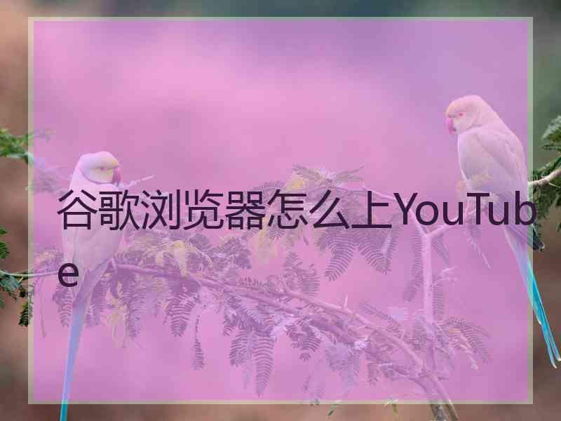 谷歌浏览器怎么上YouTube