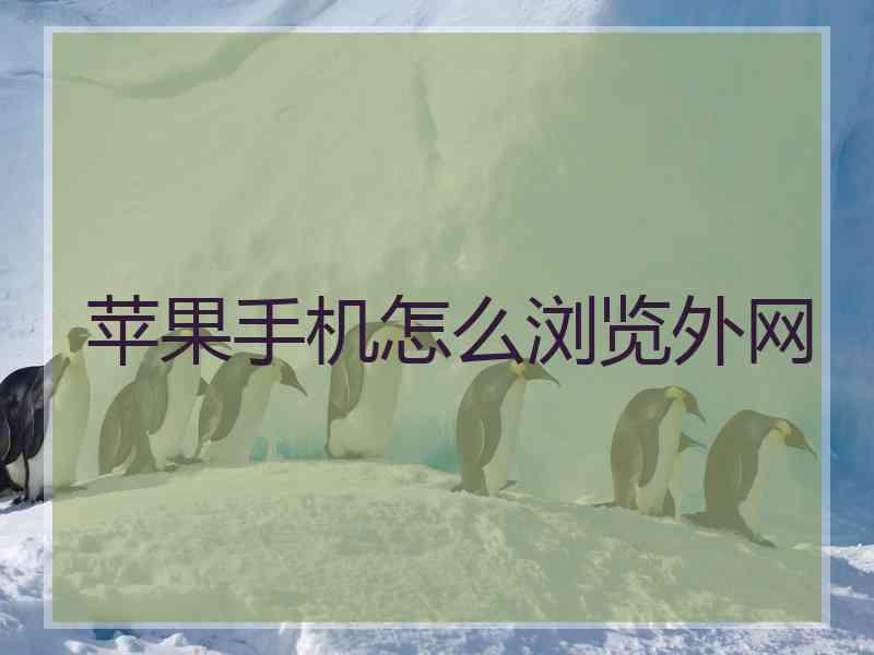 苹果手机怎么浏览外网
