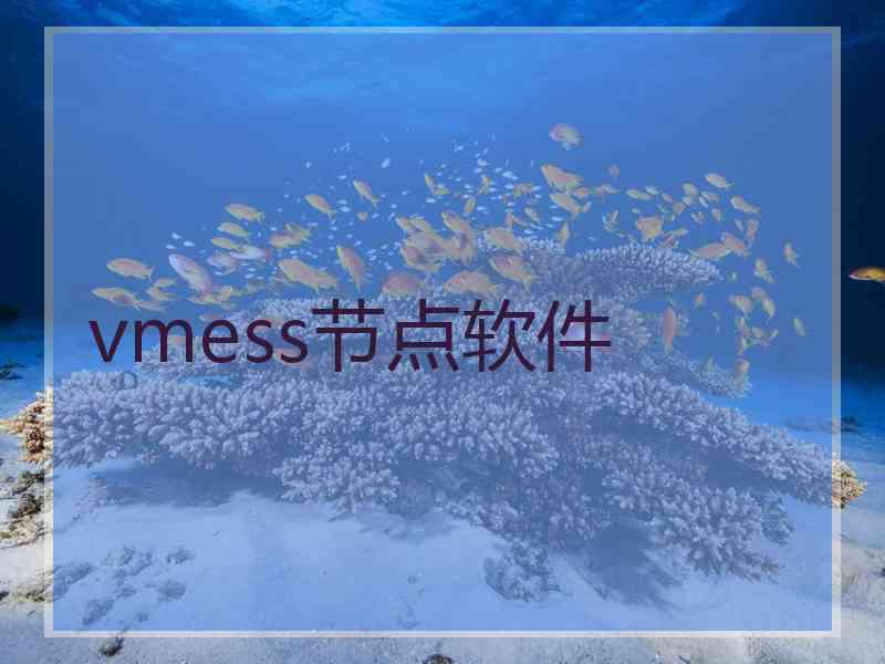 vmess节点软件