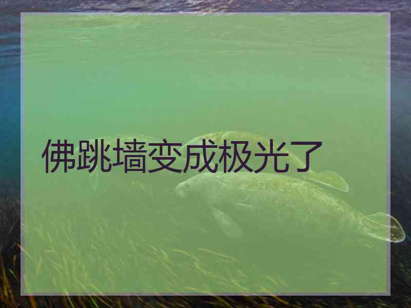 佛跳墙变成极光了