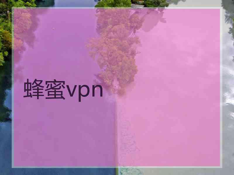 蜂蜜vpn