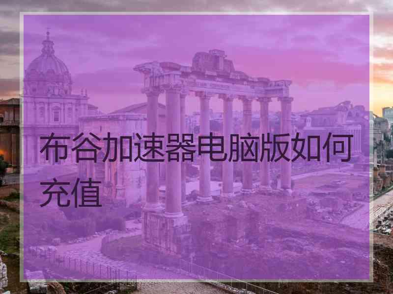 布谷加速器电脑版如何充值