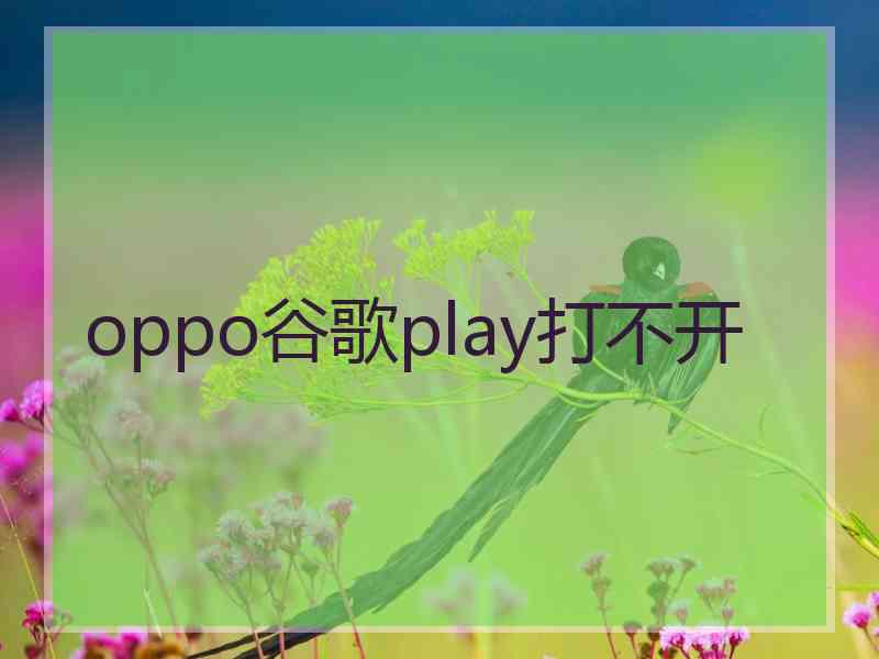 oppo谷歌play打不开