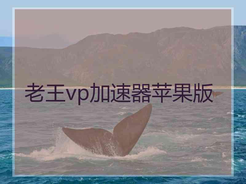 老王vp加速器苹果版