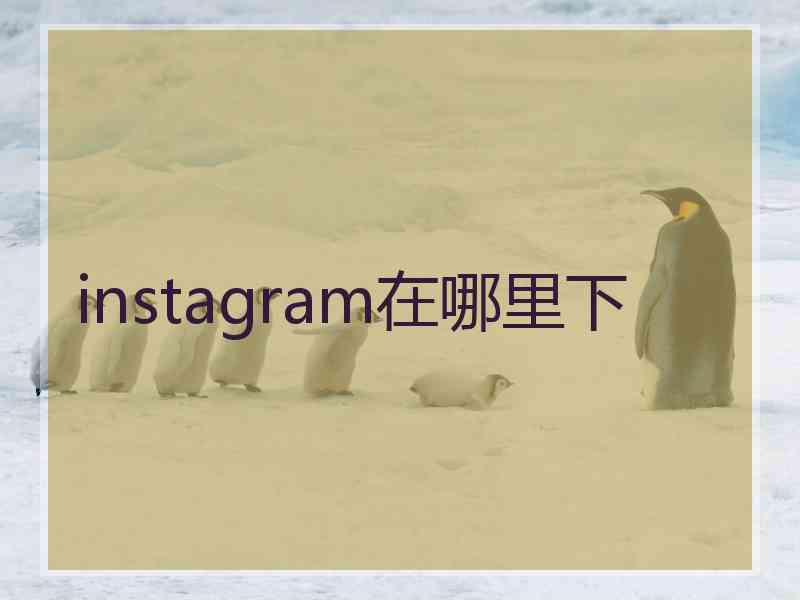 instagram在哪里下