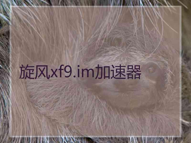 旋风xf9.im加速器