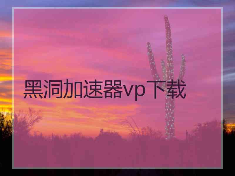 黑洞加速器vp下载