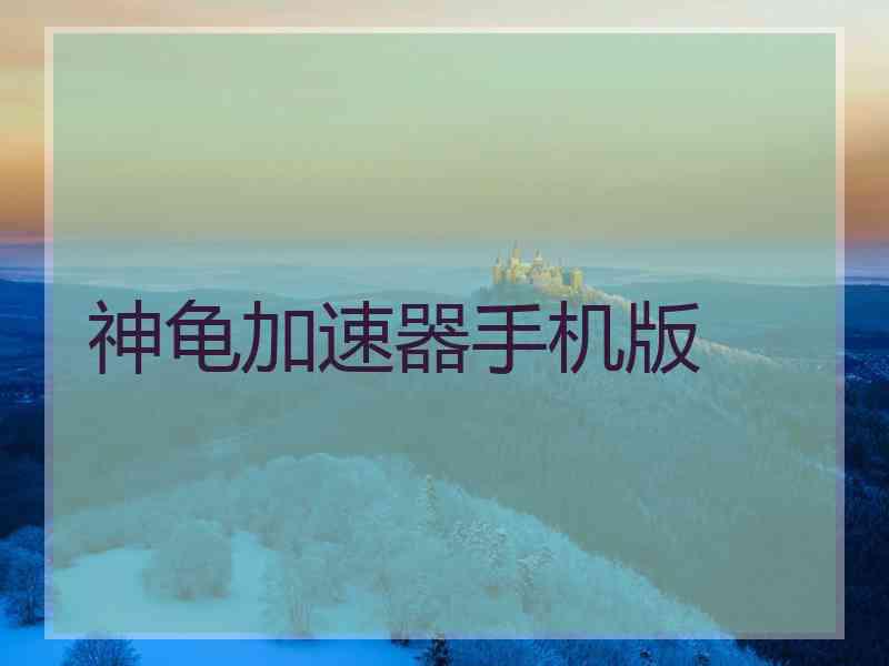 神龟加速器手机版
