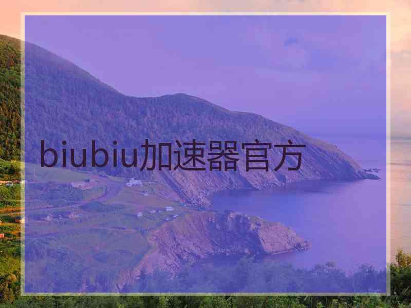 biubiu加速器官方