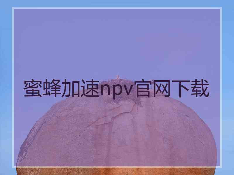 蜜蜂加速npv官网下载