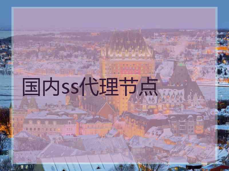 国内ss代理节点