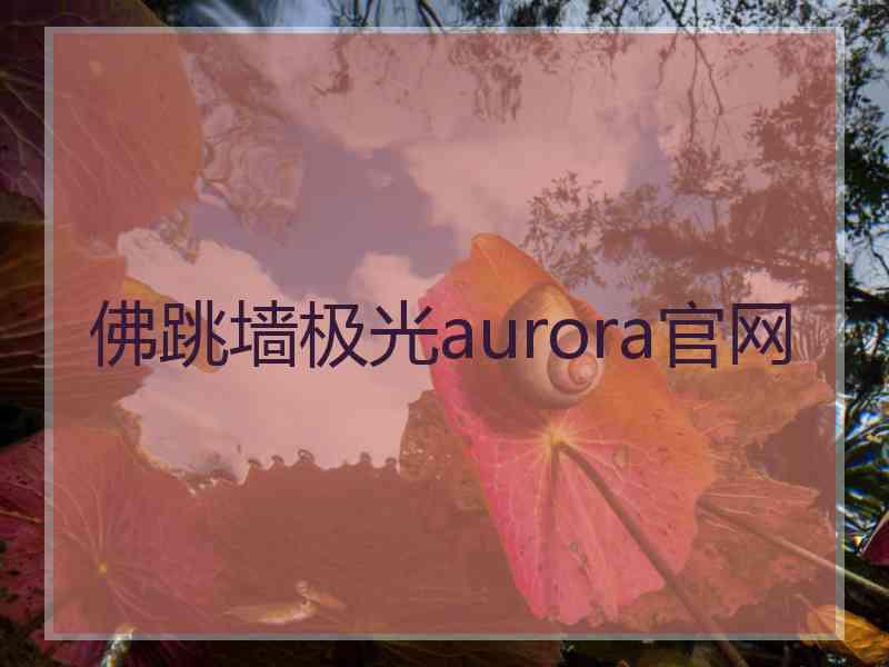 佛跳墙极光aurora官网