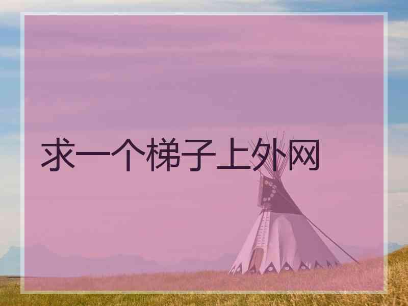 求一个梯子上外网